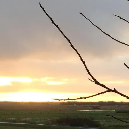 Suedhoern 38 * Sylt